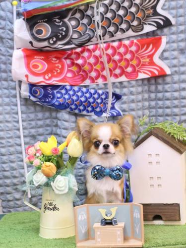 20230521プリューくん